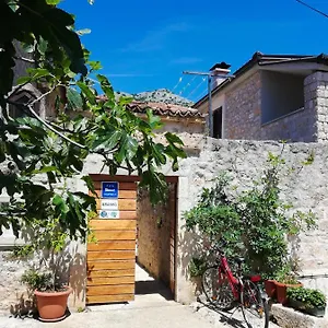 Branko , Starigrad Paklenica Croatie